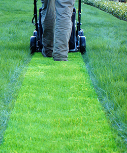 Massachusetts Land Court Holds Lawn Maintenance Alone is Not Open, Adverse, and Exclusive to Establish Adverse Possession
