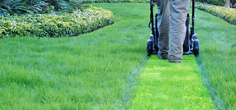 Massachusetts Land Court Holds Lawn Maintenance Alone is Not Open, Adverse, and Exclusive to Establish Adverse Possession